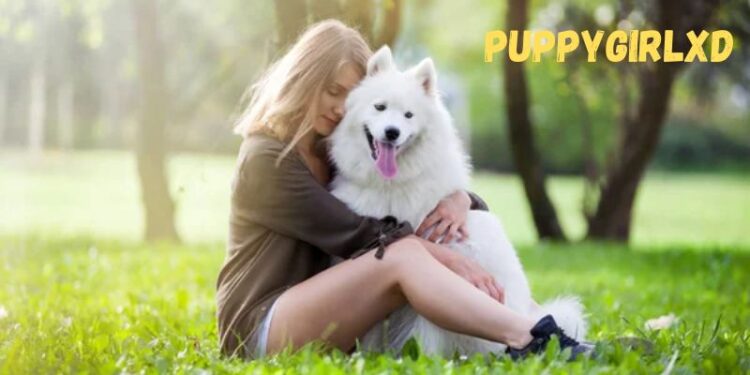 How did PuppygirlXD start their online career?