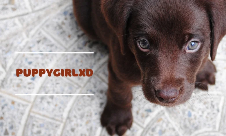 On which platforms is PuppygirlXD active?